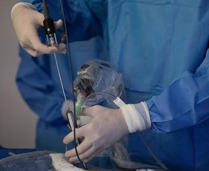 WhatsApp Image 2021-03-15 at 00.14.39.jpeg