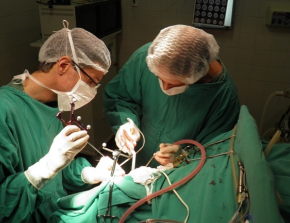 WhatsApp Image 2021-03-15 at 00.12.28.jpeg