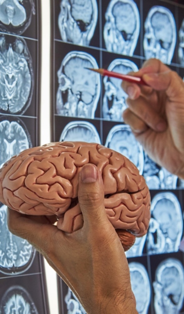 WhatsApp Image 2021-03-15 at 00.11.46.jpeg